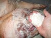 salting